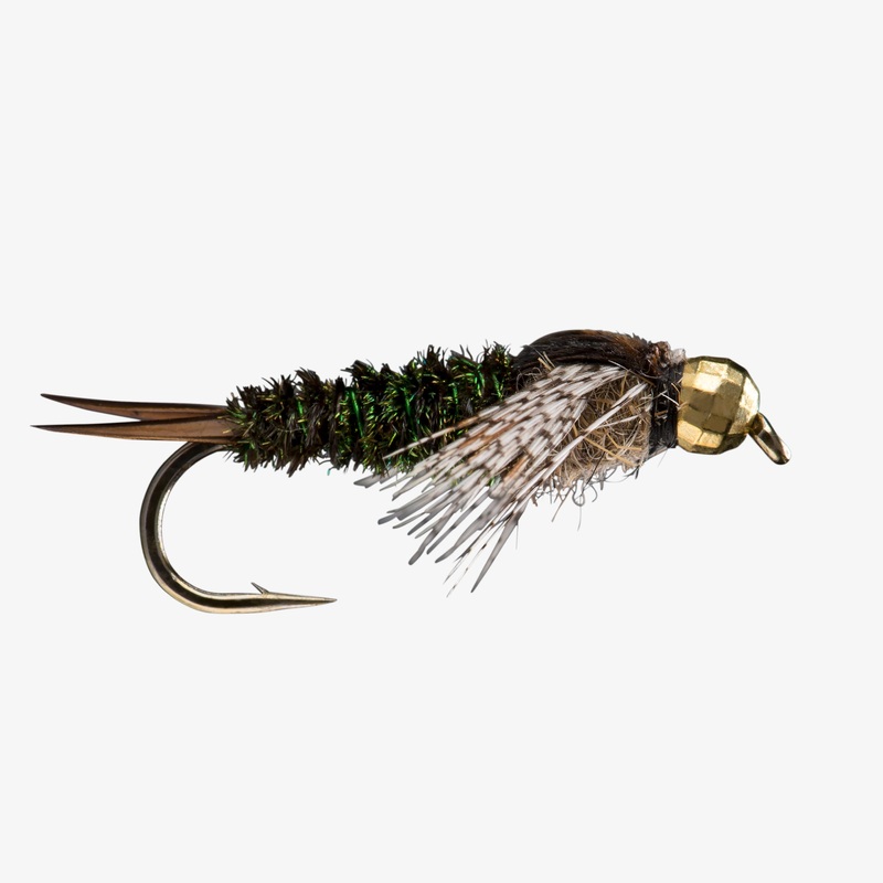 Twenty Incher TB