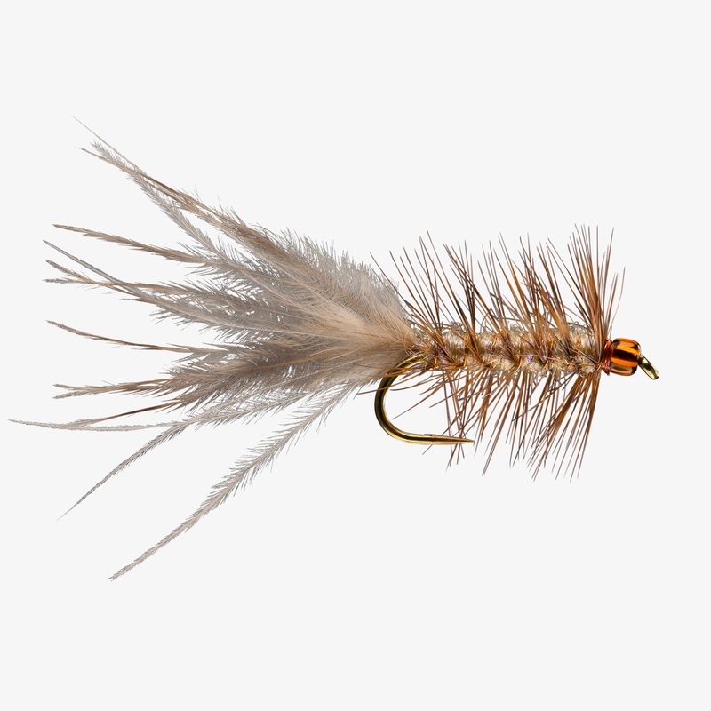 Blonde Leech