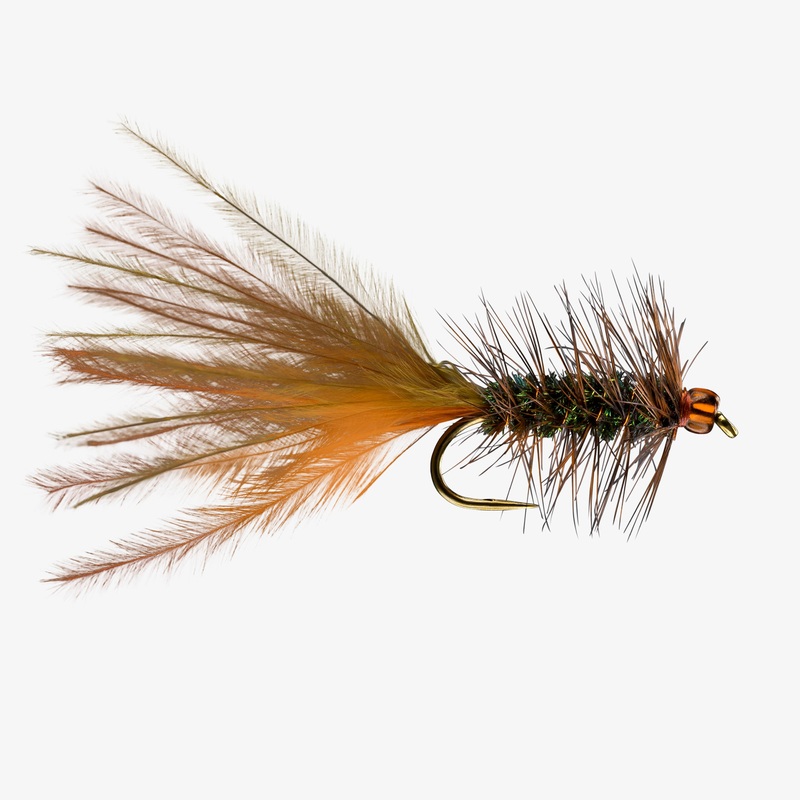 Brunette Leech