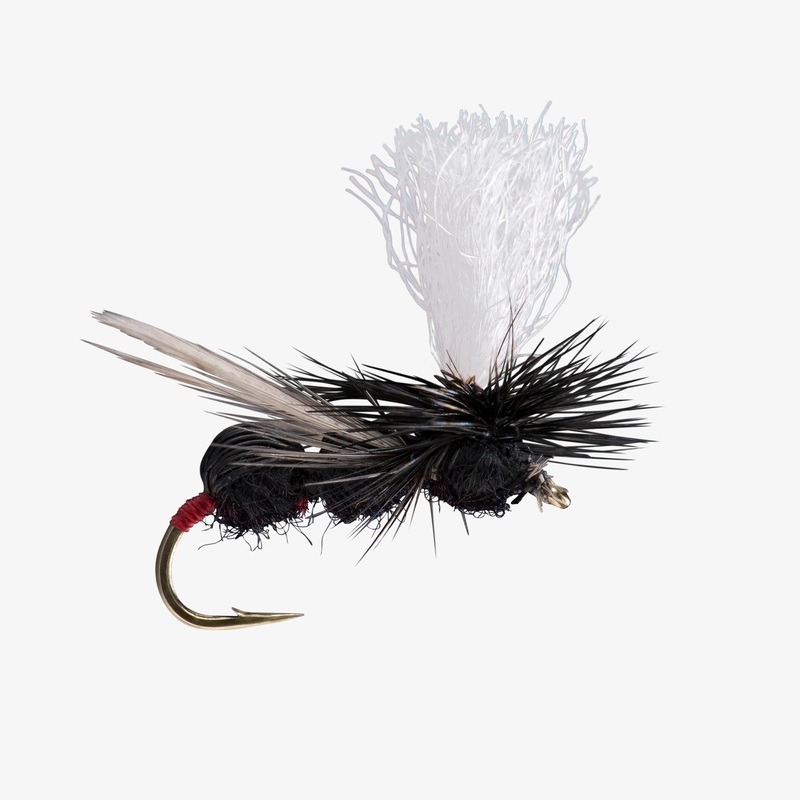 Deer Hair Ant