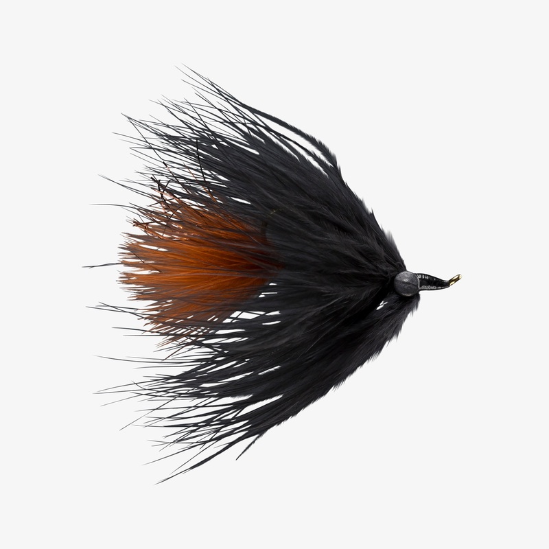 LE Marabou Leech