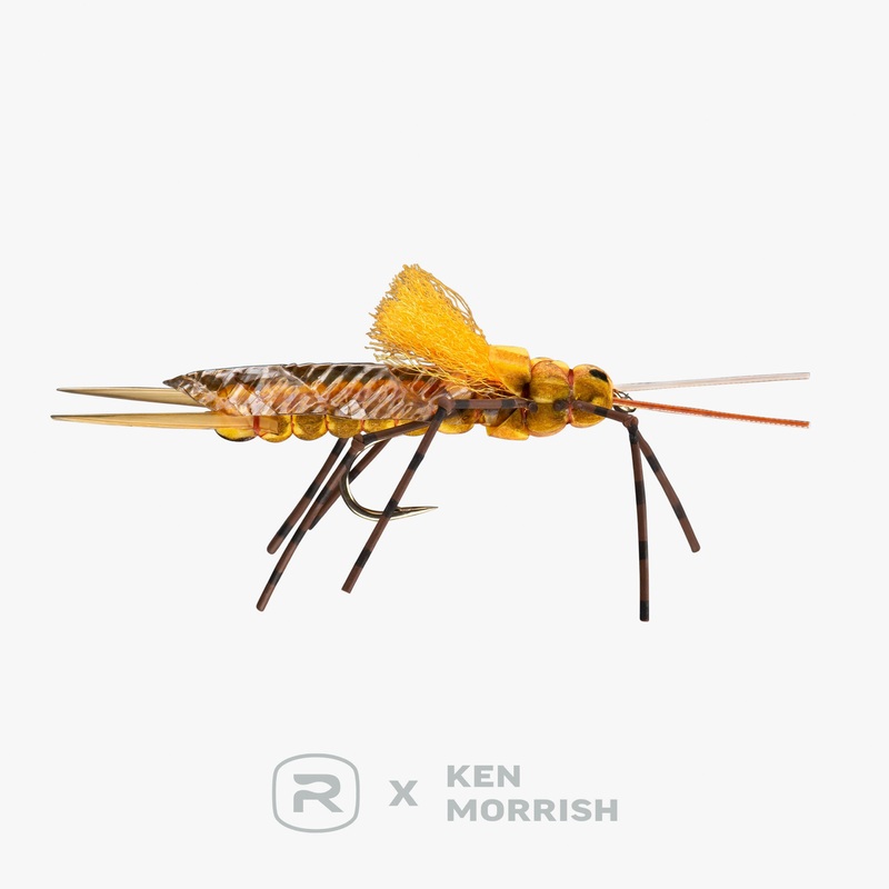 RIO’s Morrish Still Stone