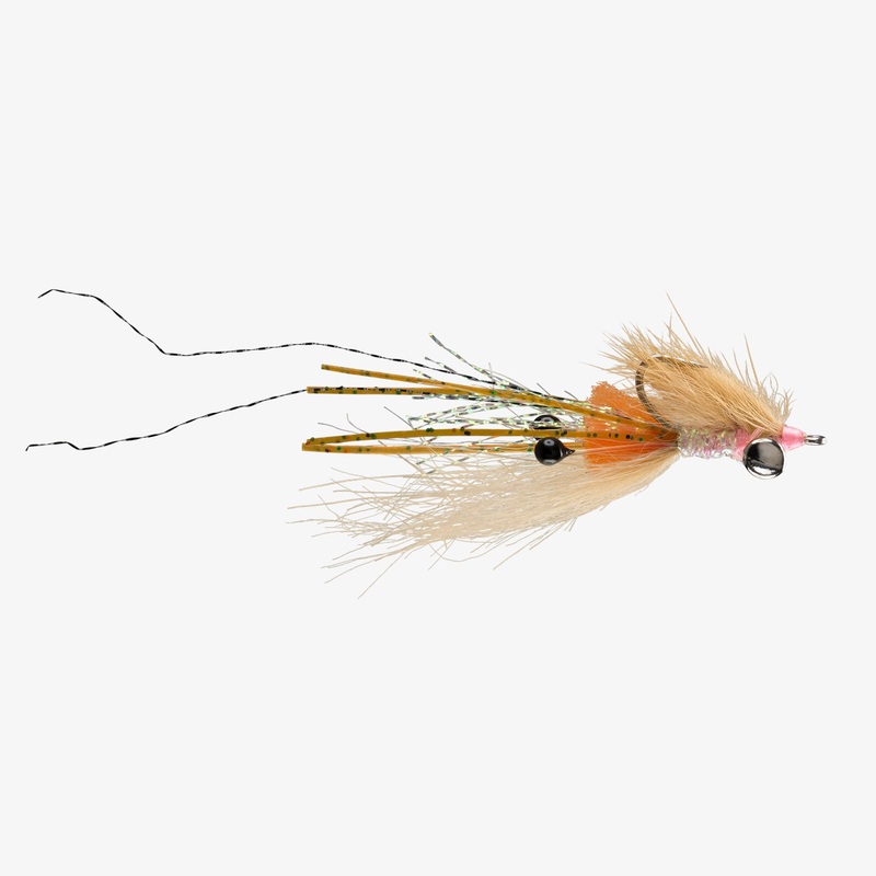 Spawning Shrimp