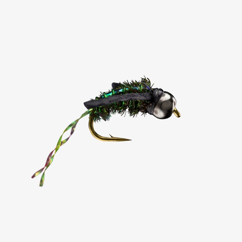Water Boatman