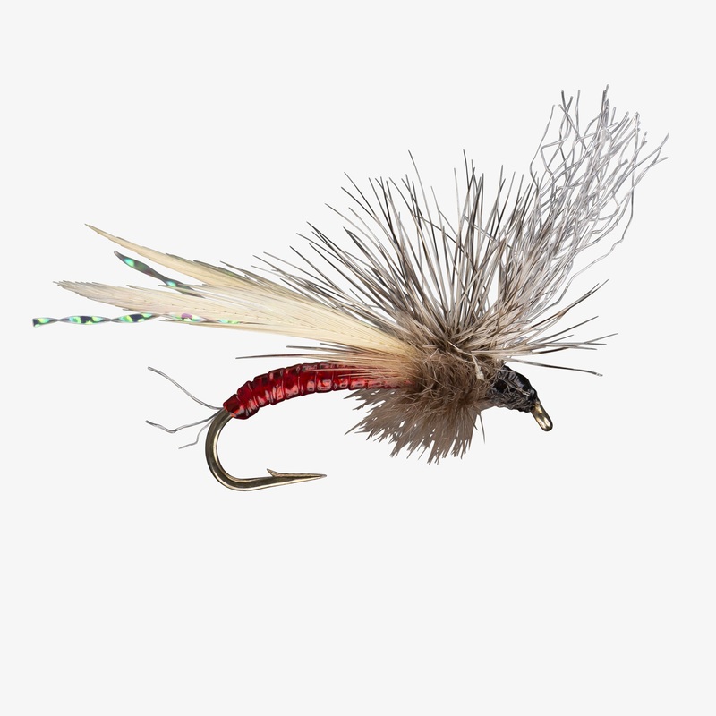 Blood Midge