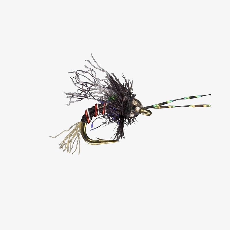 Drowned Midge TB