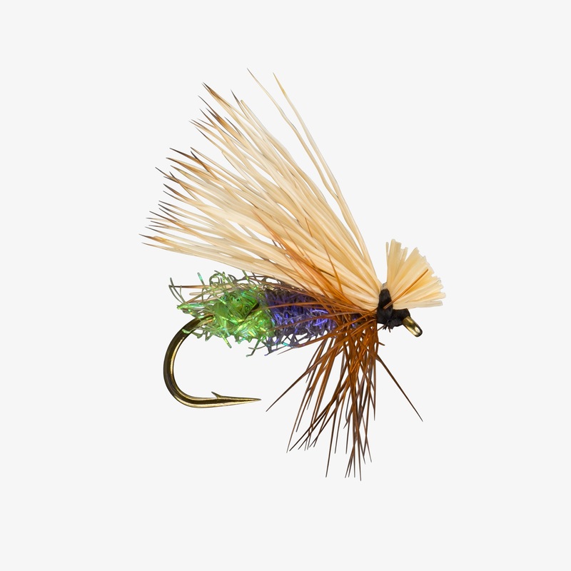 Egg Layer Caddis