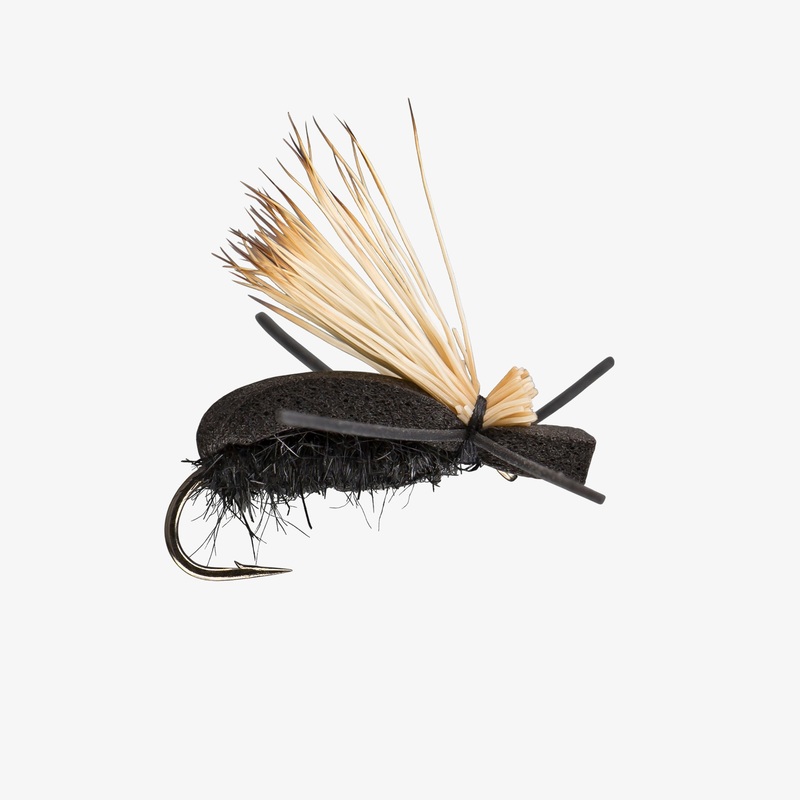 Flying Foam Beetle