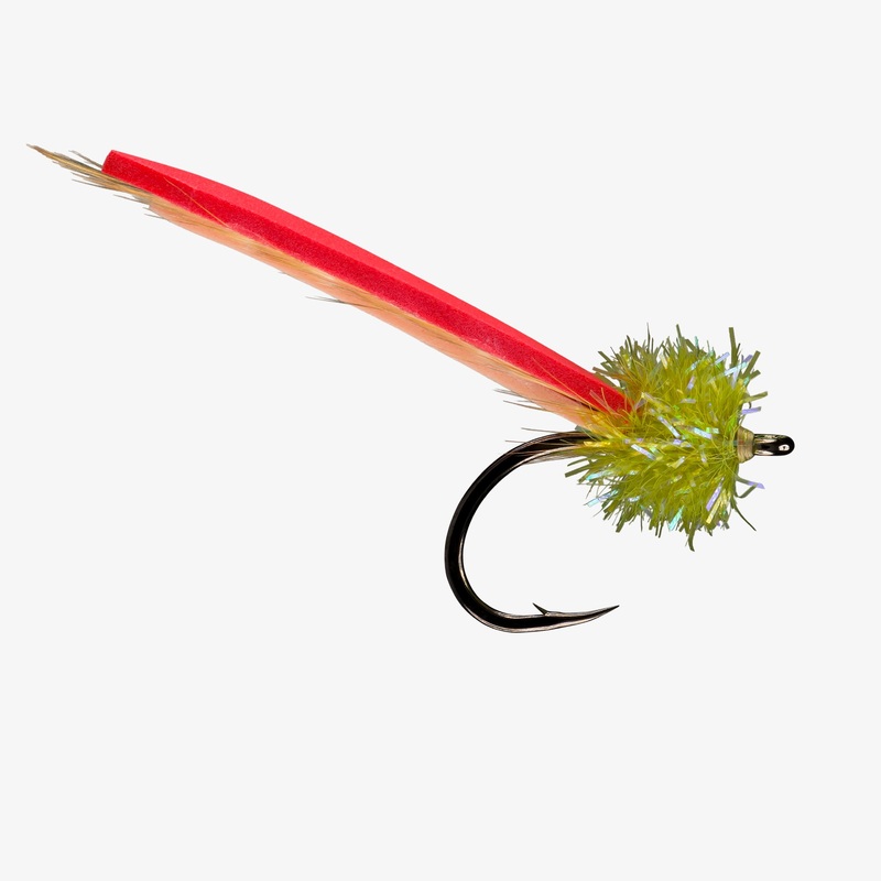RIO’s Palolo Worm