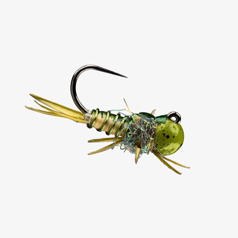 RIO’s Point Drake TB