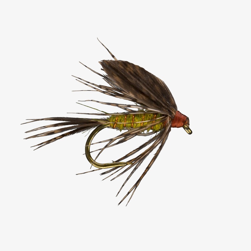 Western Emerger