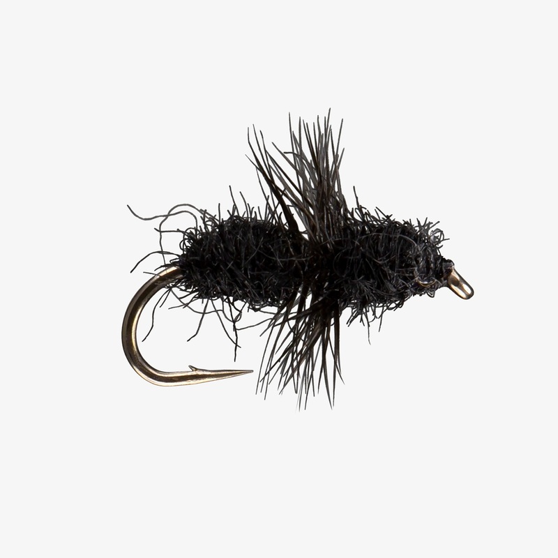 Fur Ant