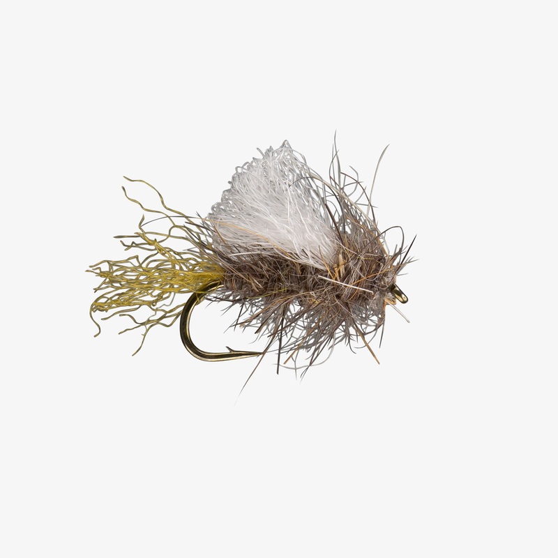 Iris Caddis