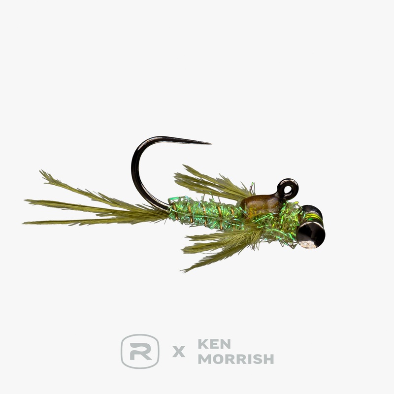 RIO’s Morrish Level Headed Damsel