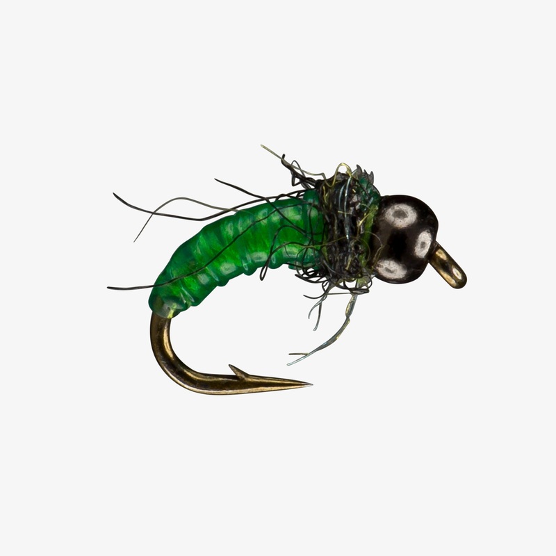 Free Living Larva