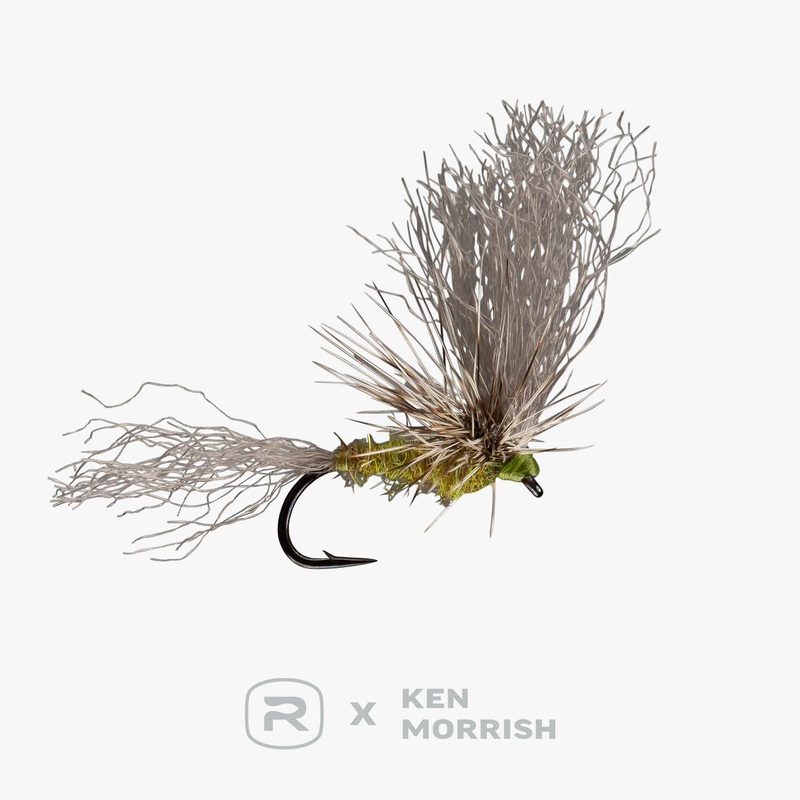 RIO’s Morrish May Day