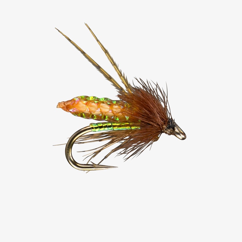 RIO’ s PC Pupa