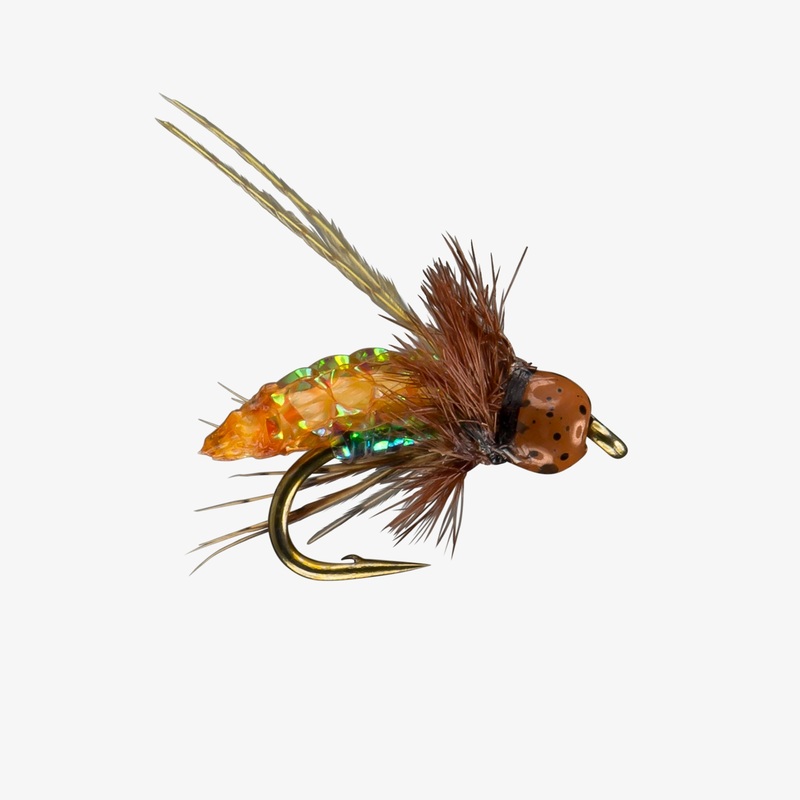 RIO’s PC Pupa TB