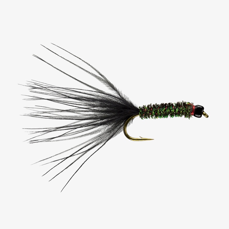 RIO’s Raven Leech