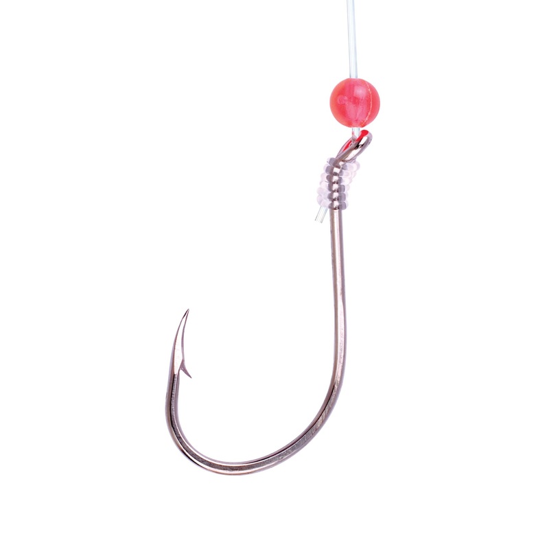 Octopus Snell with Red Bead