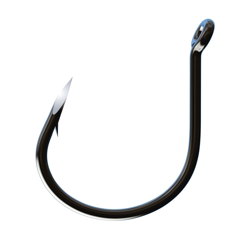 Wacky Worm Hook