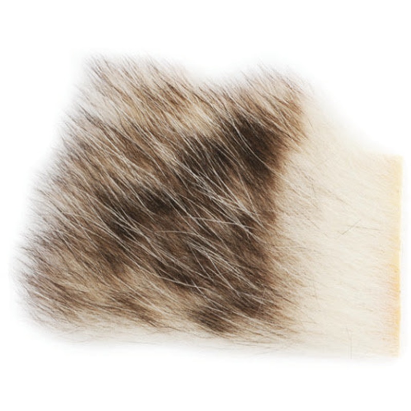 Wapsi American Opossum Small