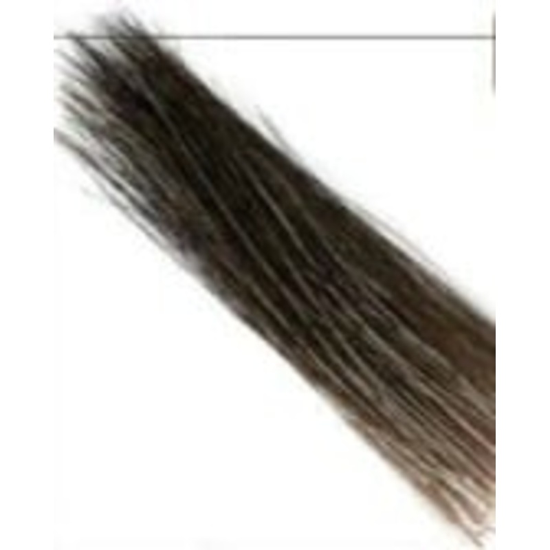 Wapsi Moose Mane