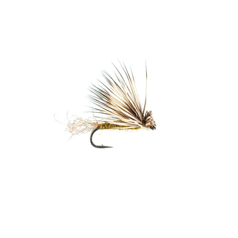 X-Caddis Olive