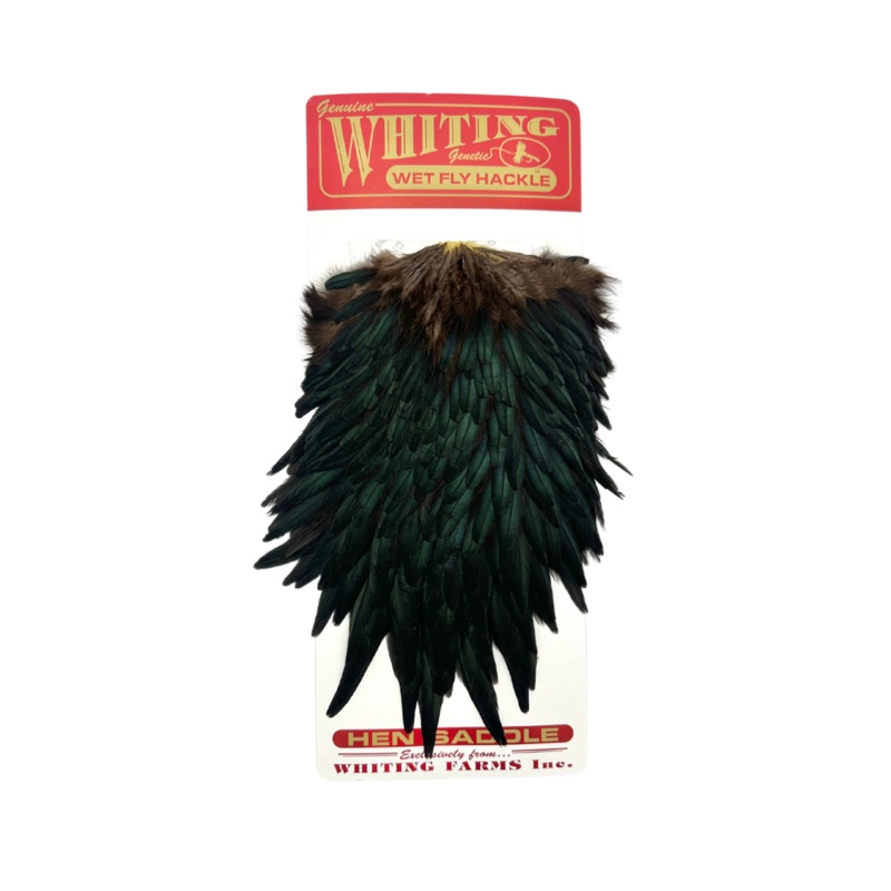 Whiting – Hen Saddle