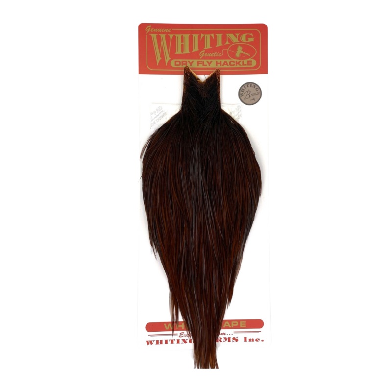 Whiting – Rooster Bronze Neck