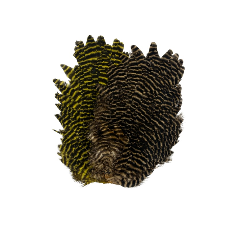 Wapsi – Grizzly Hen Saddles