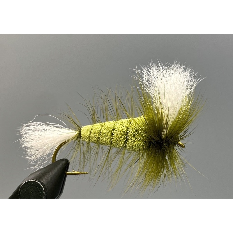 Wulff Bomber – Olive Body – Olive Hackle – White WIngs
