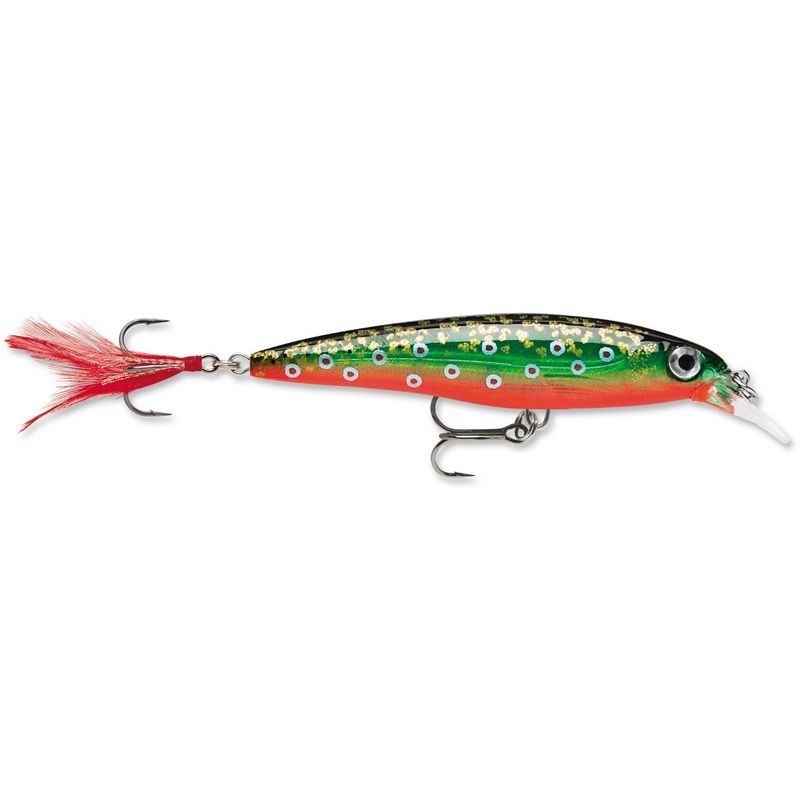 Rapala XR-06 X-Rap Shallow Diving Jerkbait – 2.5 Inch