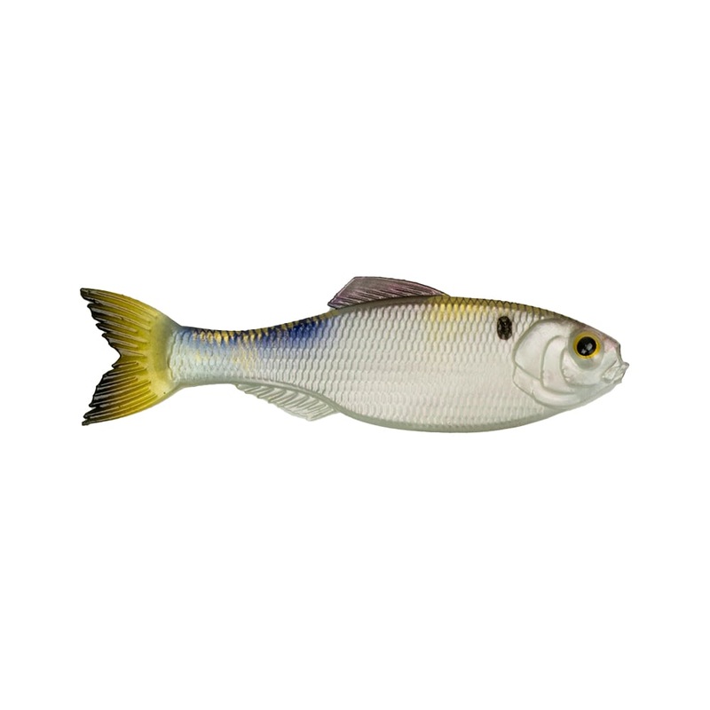 6th Sense Panorama Baitfish