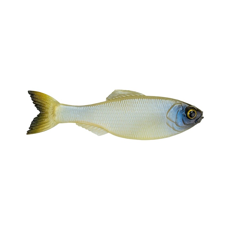 6th Sense Panorama Baitfish 5.0 Ghost Bone